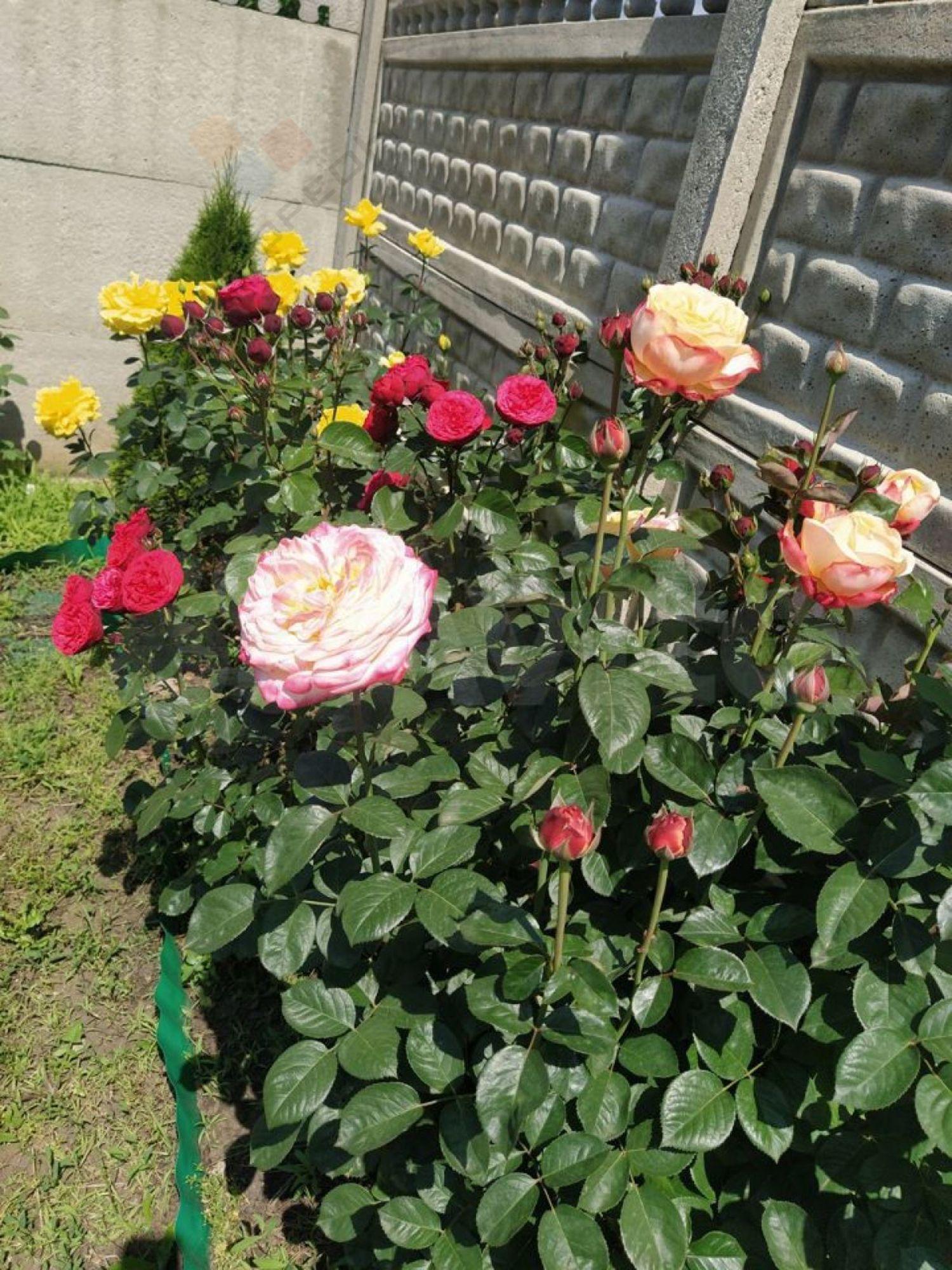 Купить дачу, дом, коттедж за 6 500 000 рублей на Братская ул (Копанской х), 43