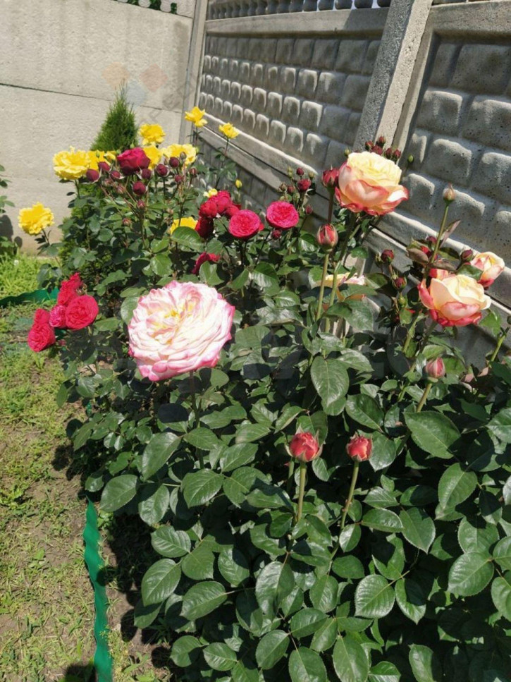Коттедж/дом Братская ул (Копанской х), 43