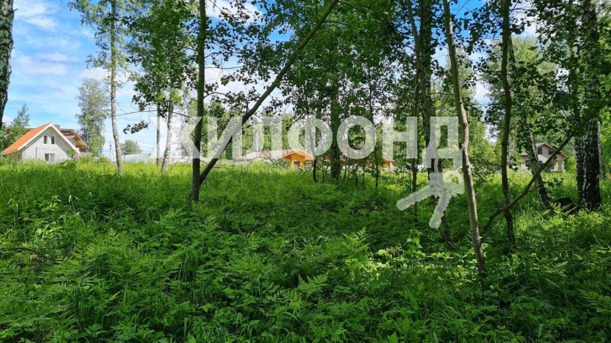 Купить землю, земельный участок за 5 155 000 рублей на Лазурная улица