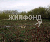 земля 40 сот Сибирская улица