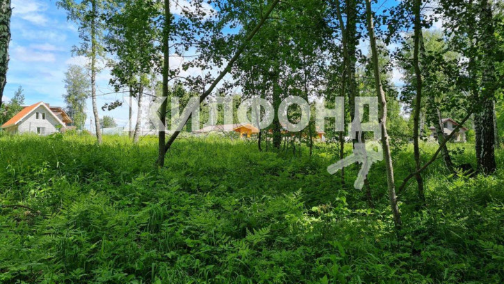 Земельный участок Лазурная улица