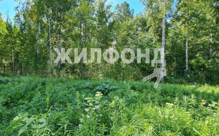 Земельный участок Лазурная улица