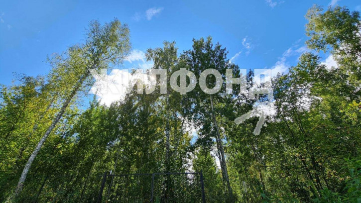 Земельный участок Лазурная улица