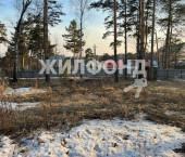 земля 6.3 сот Дачная улица