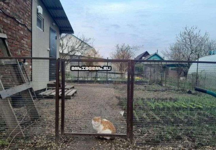 Коттедж/дом Садовая ул