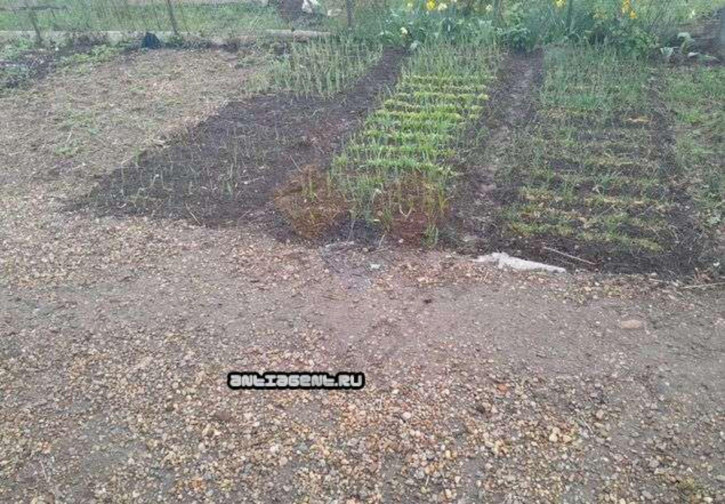 Коттедж/дом Садовая ул
