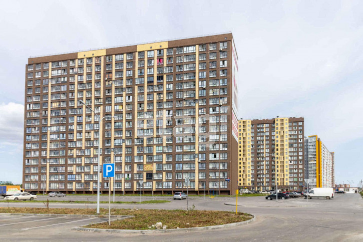 Студия Новоселов, 113