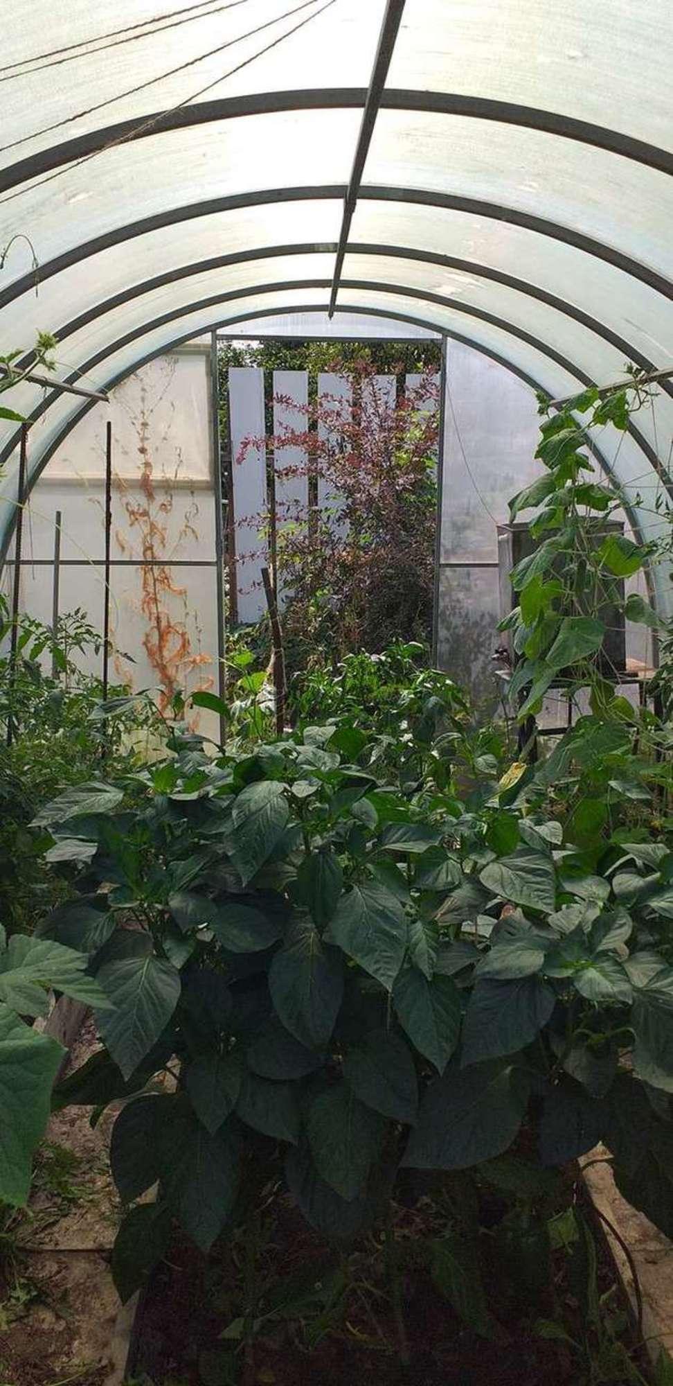 Купить дачу, дом, коттедж за 2 000 000 рублей на массив Сокский, СНТ Металлург, Сок 4Б