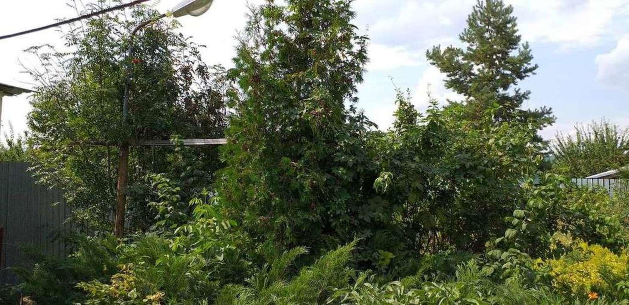 Купить дачу, дом, коттедж за 2 000 000 рублей на массив Сокский, СНТ Металлург, Сок 4Б