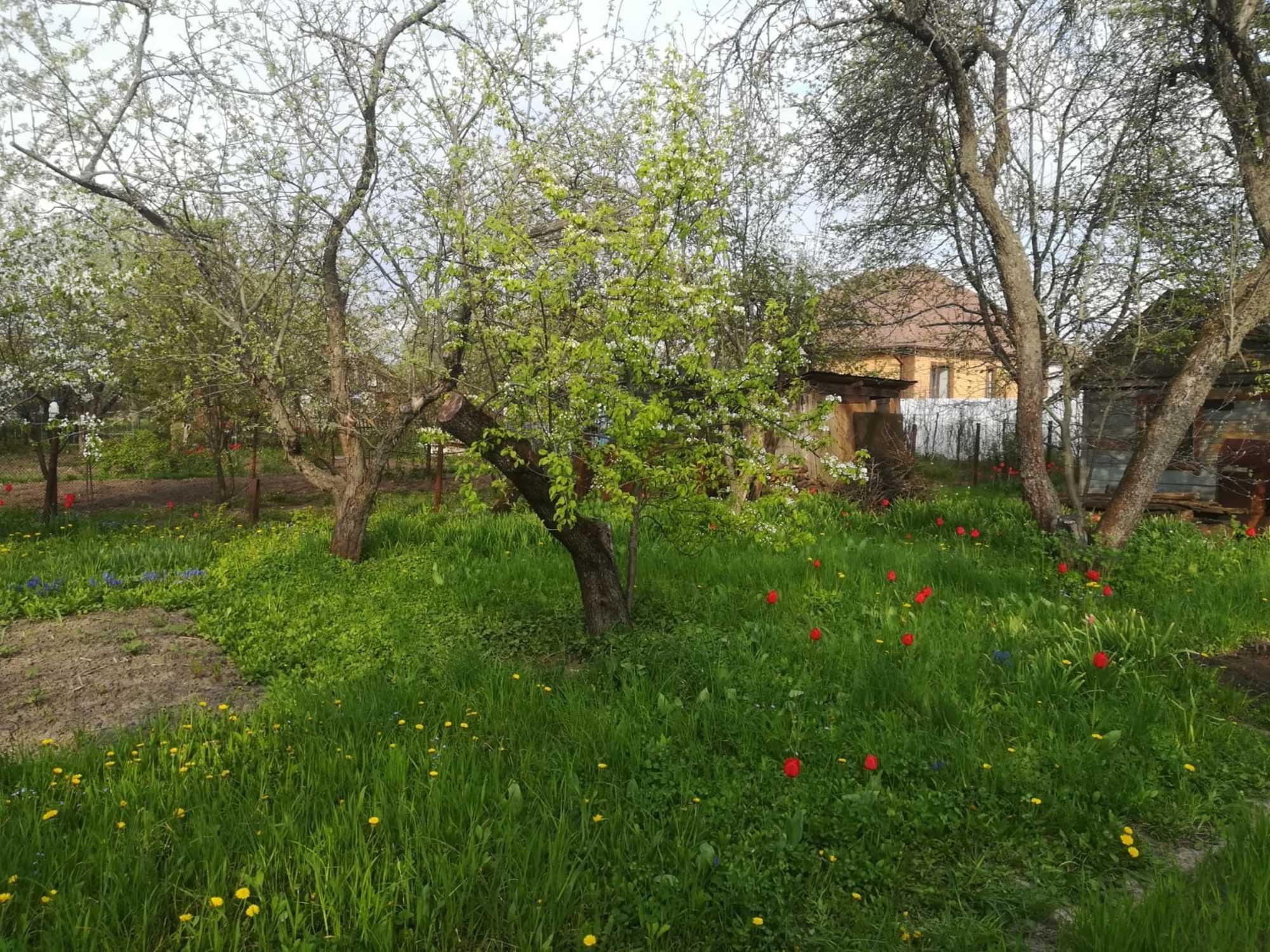 Купить дачу, дом, коттедж за 1 150 000 рублей на им. Симиренко снт