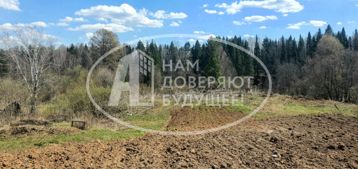 Коттедж/дом деревня Ольховочка