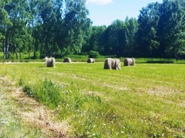 Земельный участок Белугино д, Белугино д