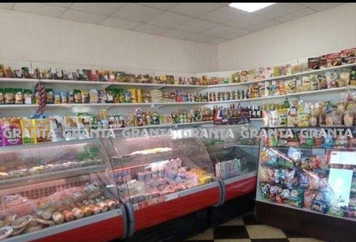 Торговое помещение ул Лесная, 1