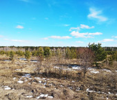 земля 8.1 сот Черепаново