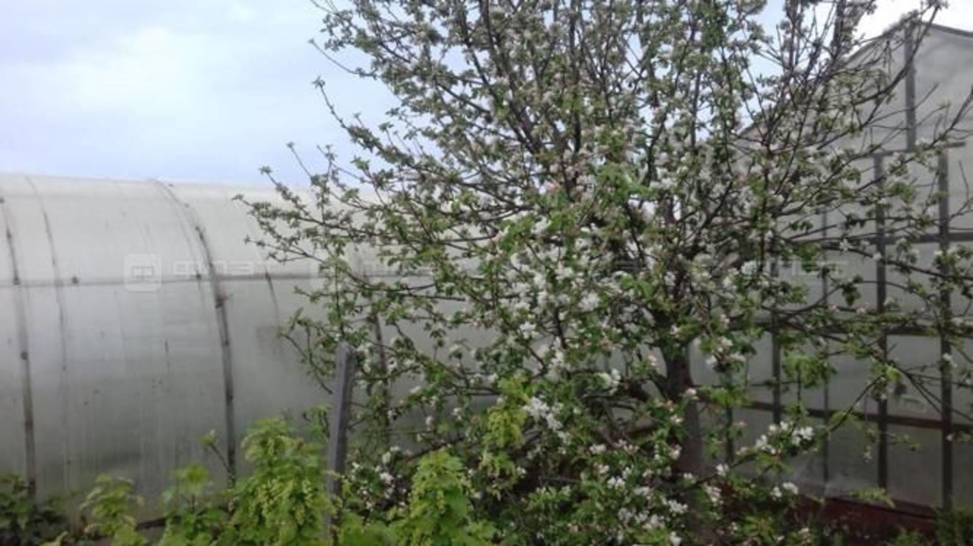 Купить дачу, дом, коттедж за 3 650 000 рублей на ул. Озерная