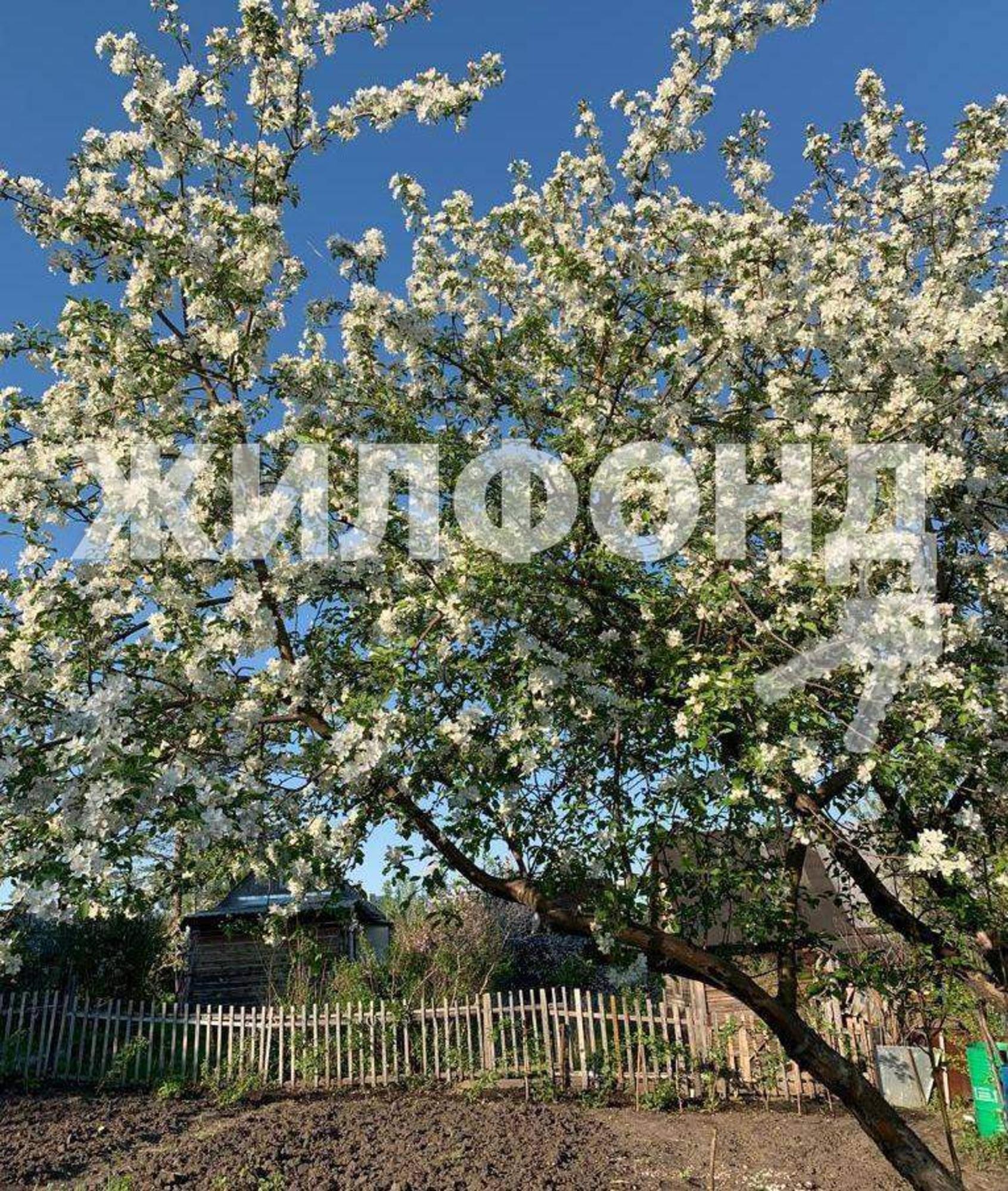 Купить землю, земельный участок за 800 000 рублей на Угольщик территория снт