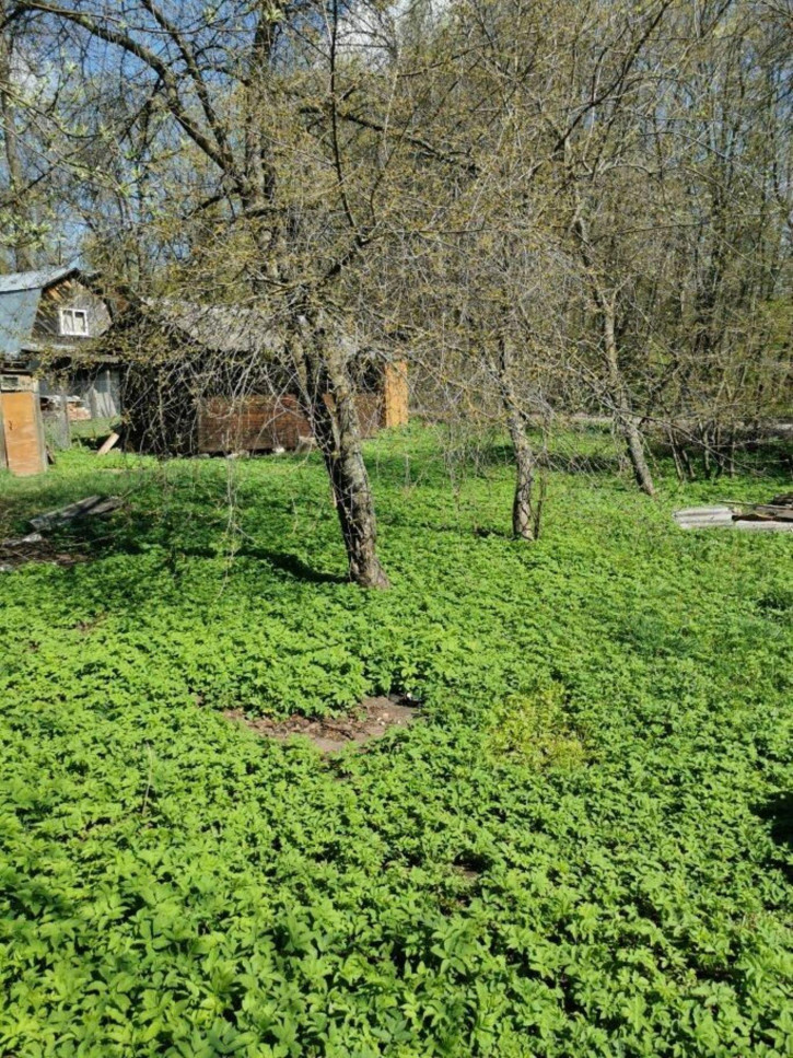 1-комн квартира Парковая, 15