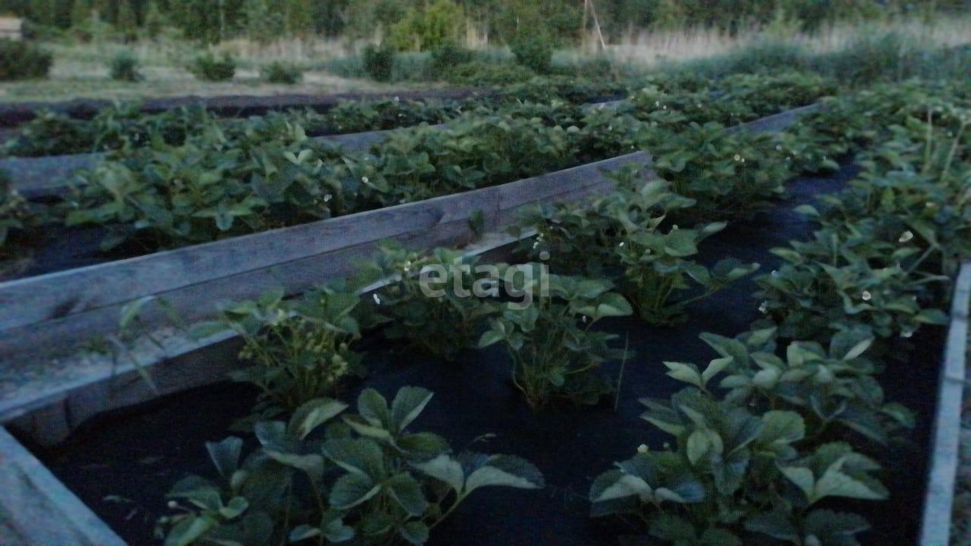 Купить дачу, дом, коттедж за 2 300 000 рублей на Кедровая,