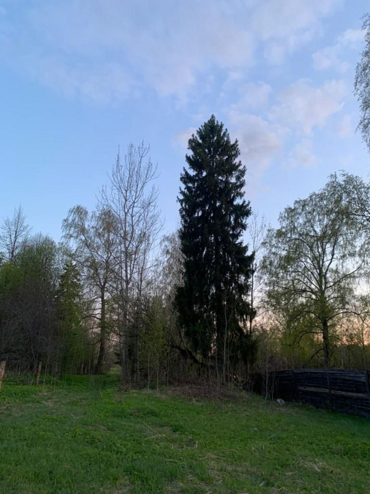 Земельный участок , 65