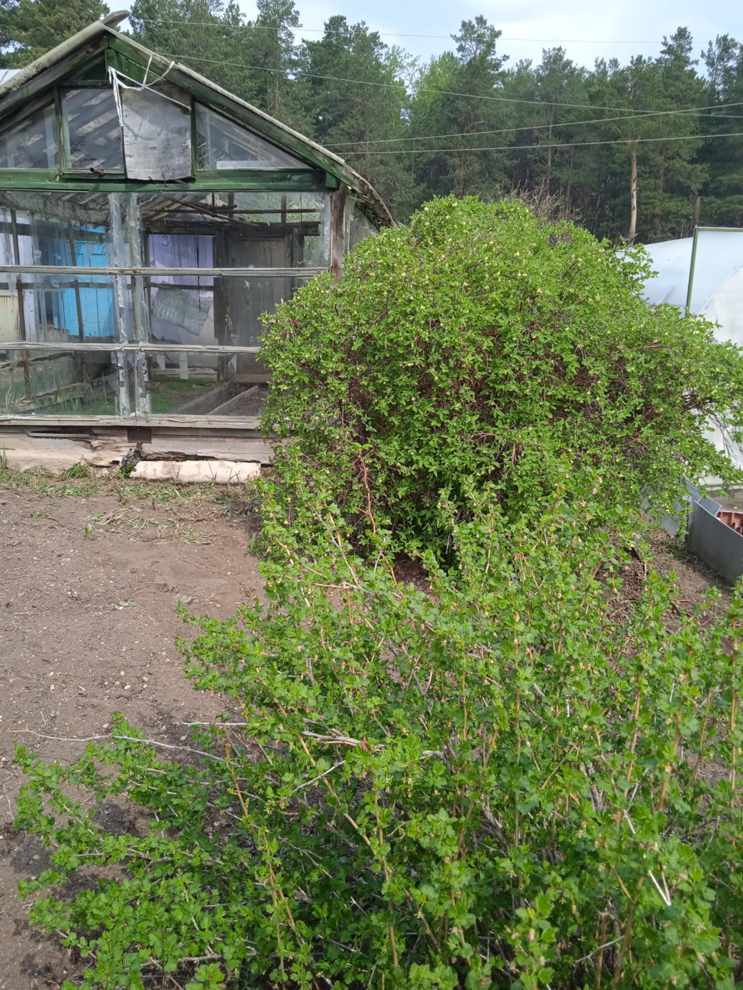 Купить дачу, дом, коттедж за 420 000 рублей на Дегтярск г.