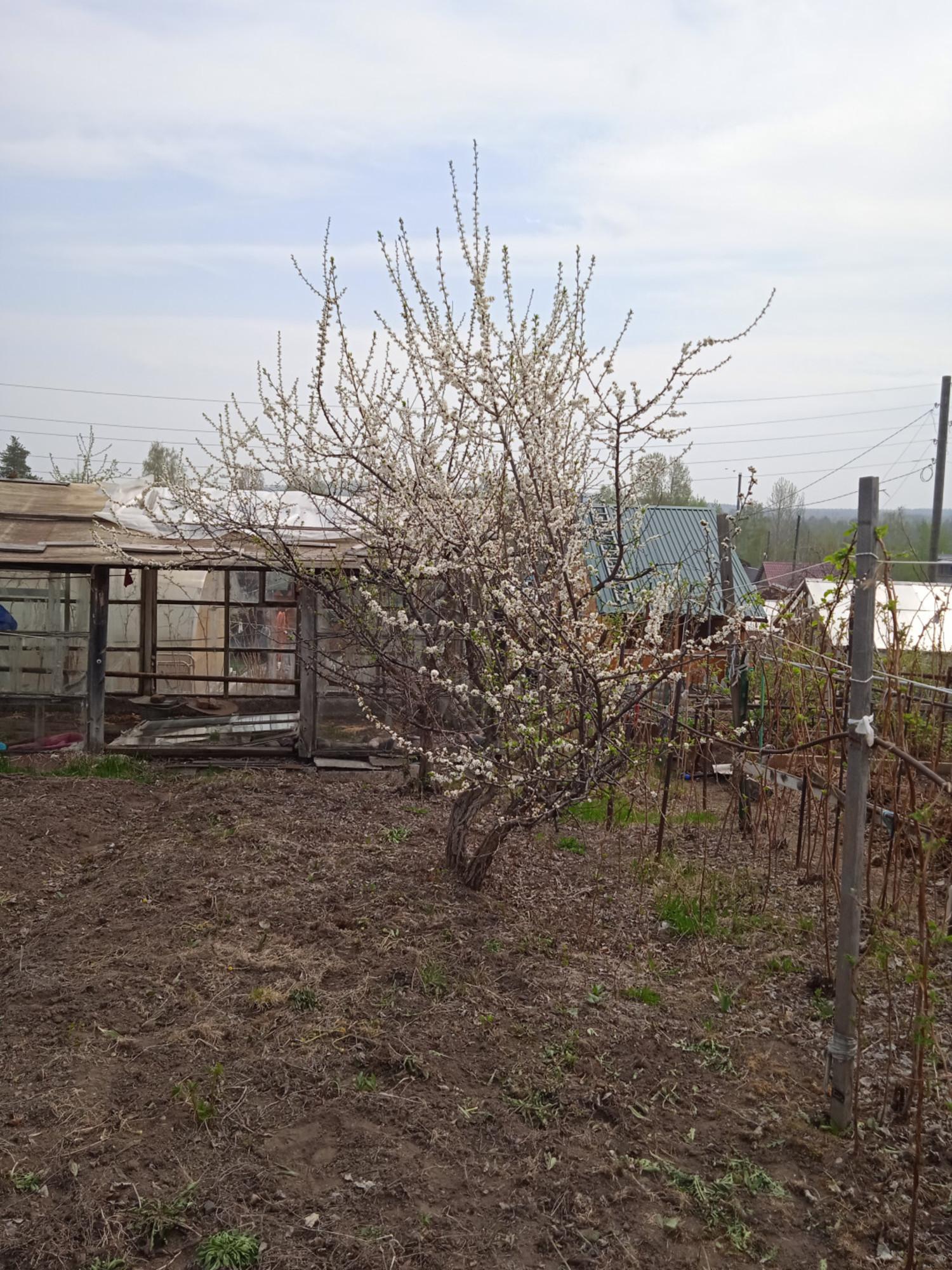Купить дачу, дом, коттедж за 420 000 рублей на Дегтярск г.