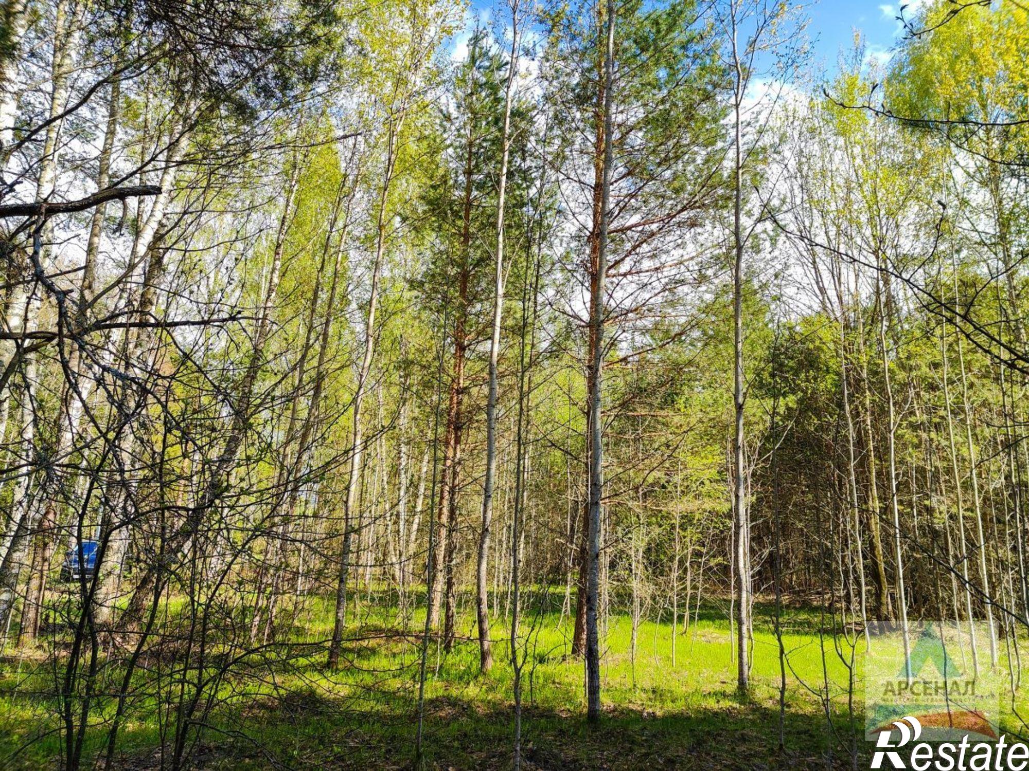 Купить землю, земельный участок за 6 500 000 рублей на Криушкино