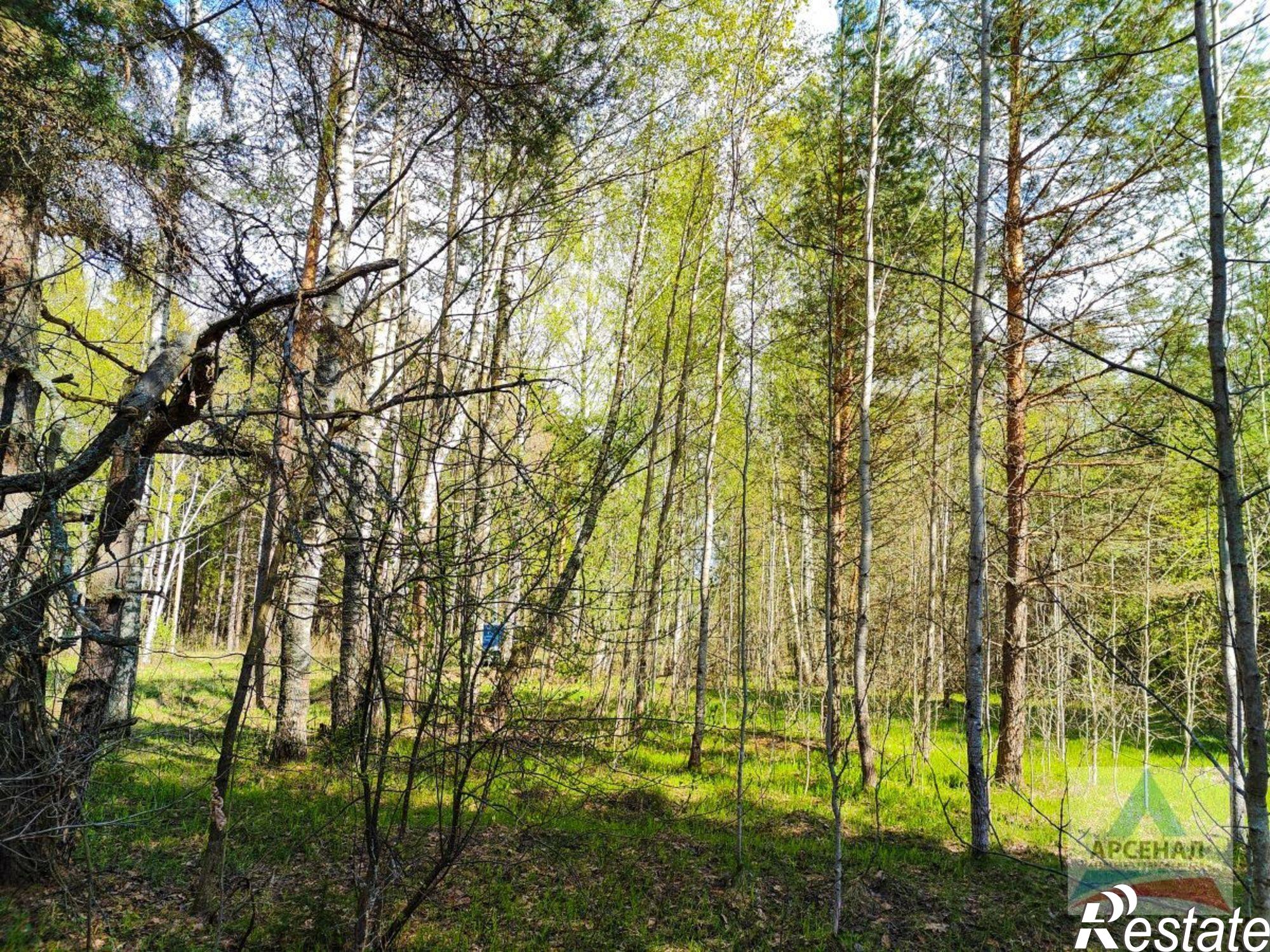 Купить землю, земельный участок за 6 500 000 рублей на Криушкино