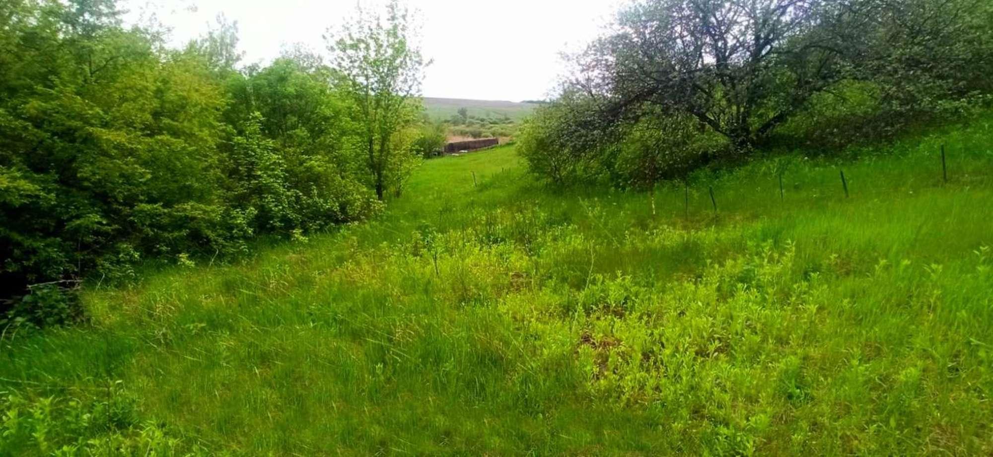 Купить дачу, дом, коттедж за 300 000 рублей на улица Озерная