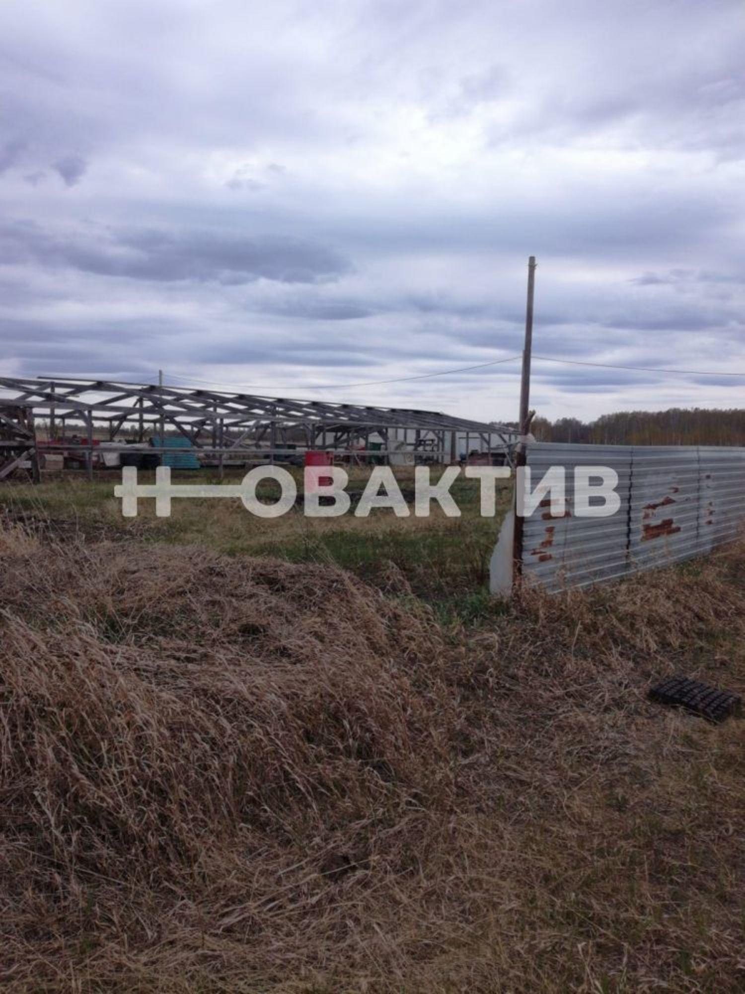 Купить землю, земельный участок за 390 000 рублей на садовые участки Эко-городок, Коченёвский муниципальный район, Новосибирская область