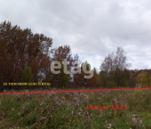 земля 360 сот село Заднее, 445