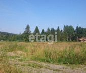 земля 13.1 сот село Горицы, 1