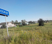 земля 29 сот деревня Спасское, 225