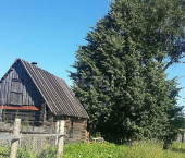 земля 15 сот деревня Пирогово (сельское поселение Воробьёвское), 529