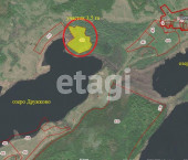 земля 350 сот село Заднее, 452