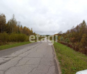 земля 2160 сот село Заднее, 446