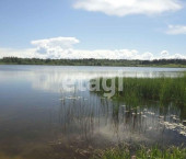 земля 528 сот деревня Погорелово, 49