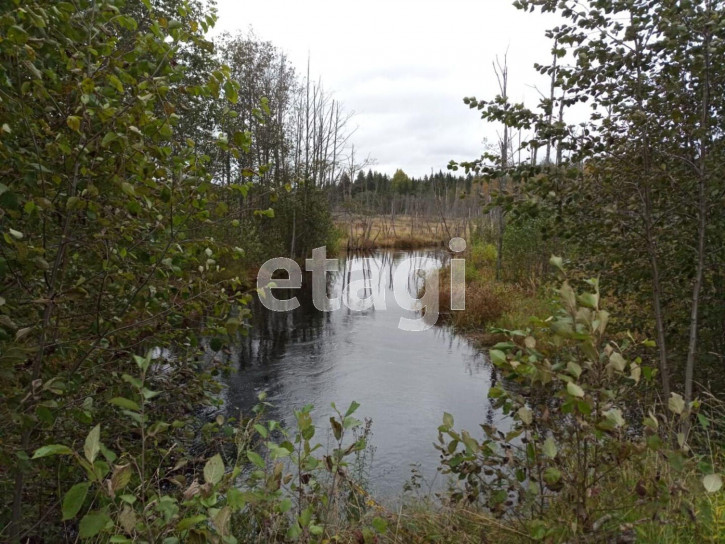Земельный участок село Заднее, 446