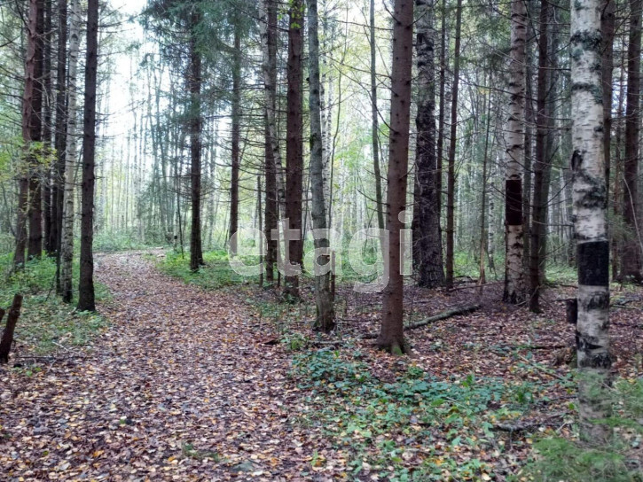 Земельный участок село Заднее, 452