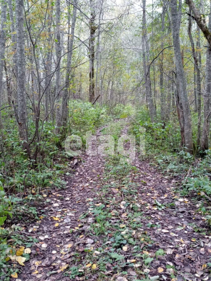 Земельный участок село Заднее, 452