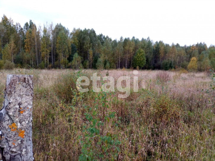 Земельный участок село Заднее, 446