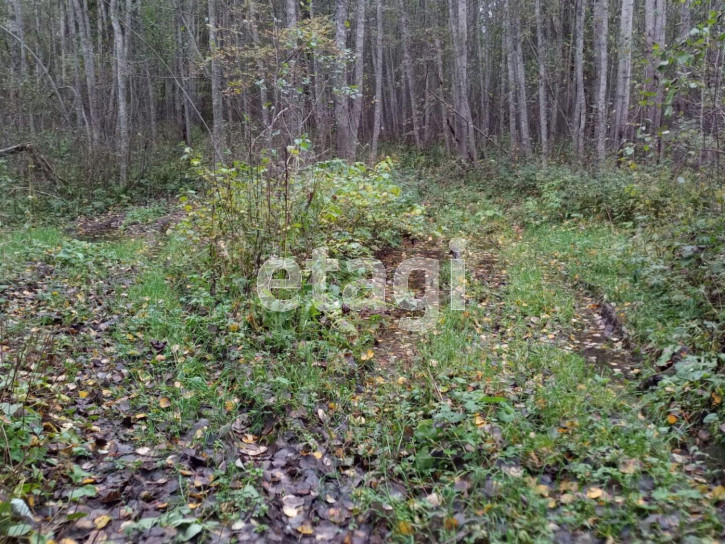 Земельный участок село Заднее, 452