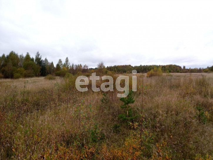 Земельный участок село Заднее, 446