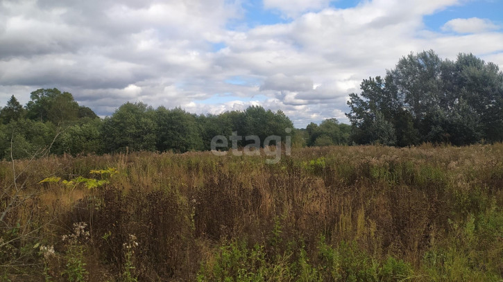 Земельный участок село Остахово, 5