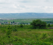 земля 8 сот улица Счастливая