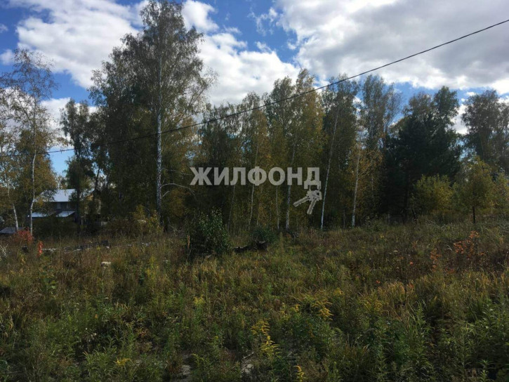 Земельный участок Полянка территория снт