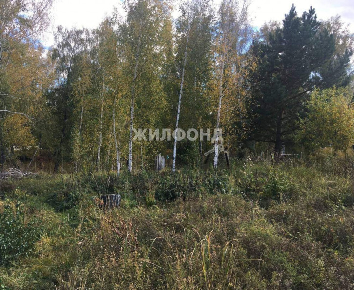 Земельный участок Полянка территория снт