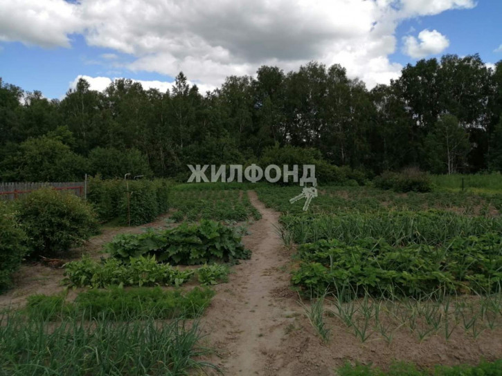 Коттедж/дом Гоголя улица