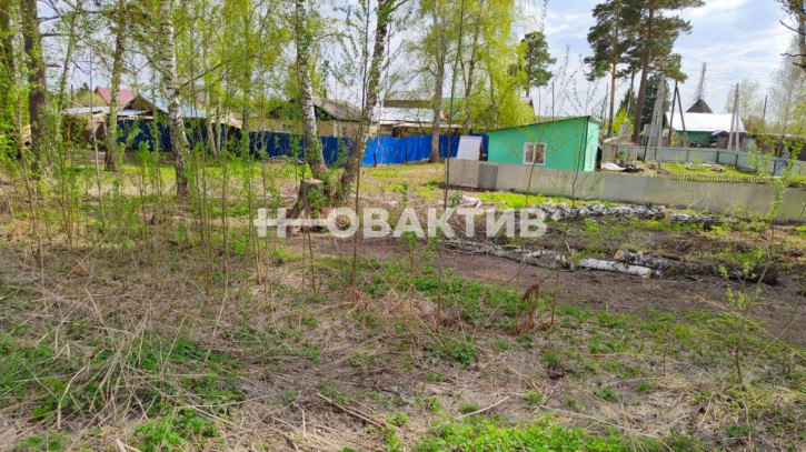 Земельный участок Боровая улица, 7/1, посёлок Каинская Заимка, Барышевский сельсовет, Новосибирский район