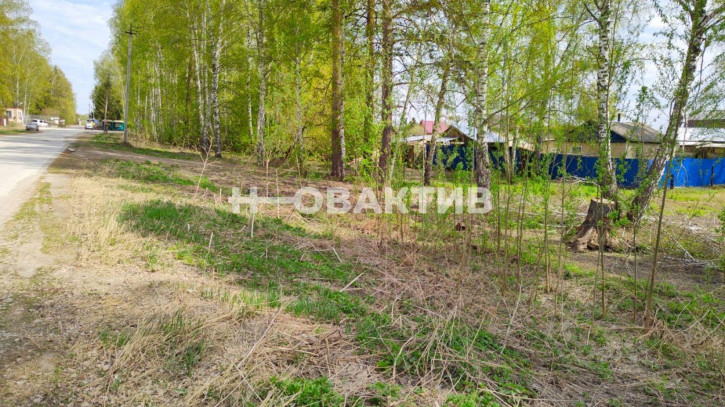 Земельный участок Боровая улица, 7/1, посёлок Каинская Заимка, Барышевский сельсовет, Новосибирский район