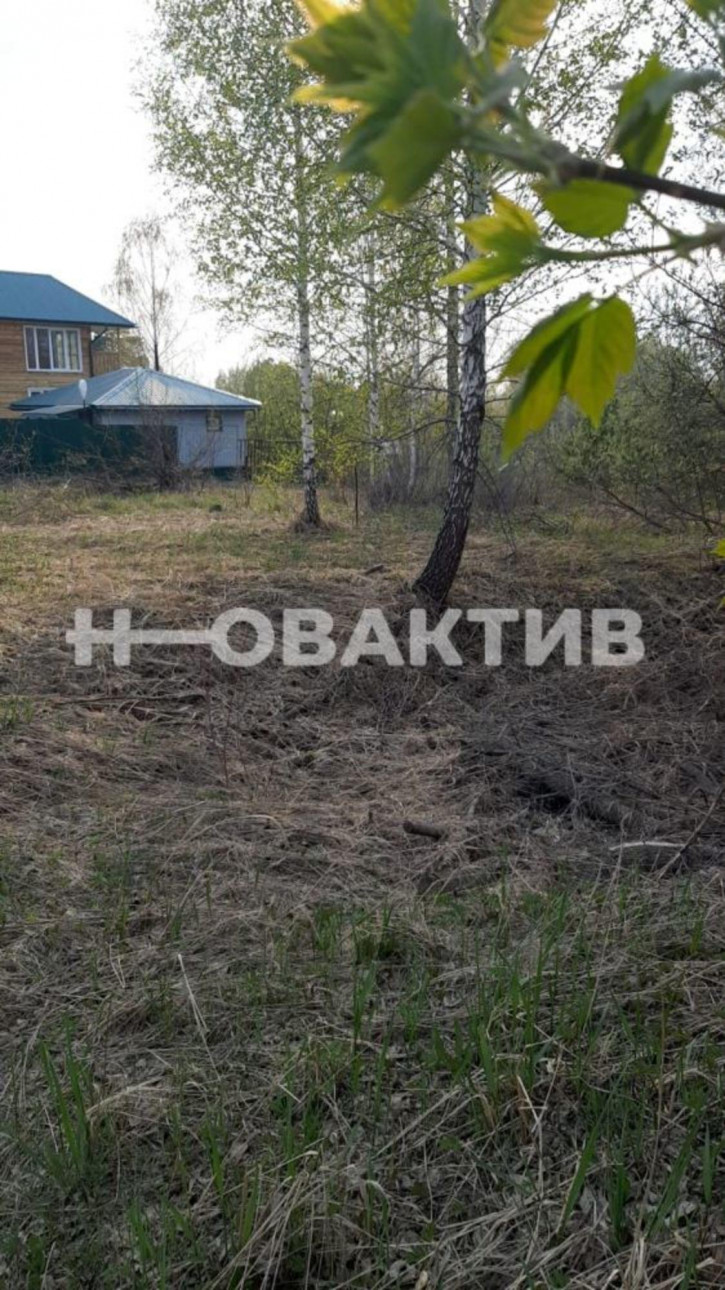 Земельный участок Новосибирская обл, Новосибирский р-н, тер. СНТ Ключи-2